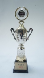 [AWMT6] Modern Trophy